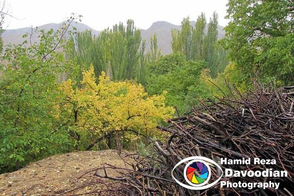 Garden  around Abyaneh Village