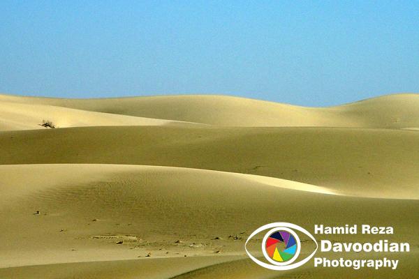 Varzaneh Desert, Isfahan, Iran