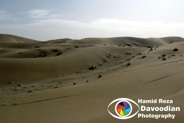 Varzaneh Desert, Isfahan, Iran