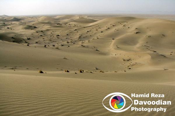 Varzaneh Desert, Isfahan, Iran
