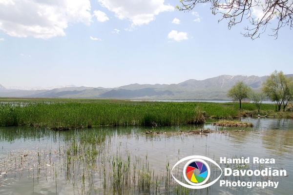 Zarivar Lake