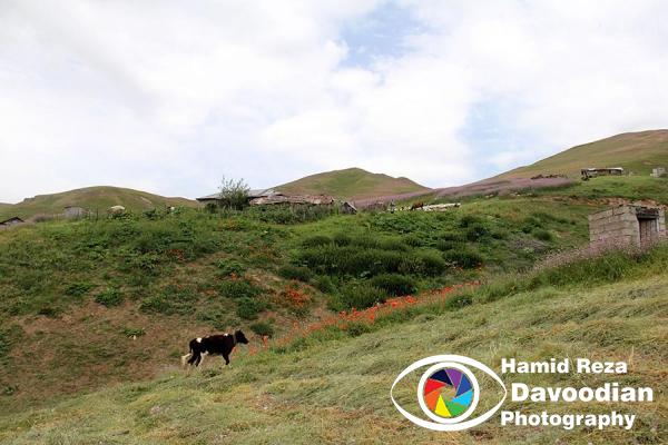 Kerman Village in Asalem