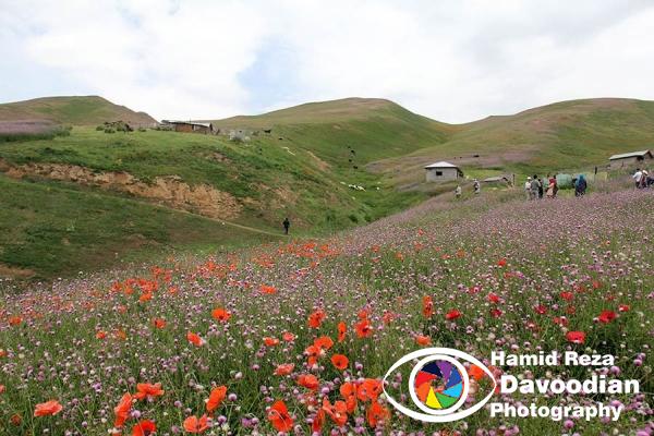 Kerman Village in Asalem
